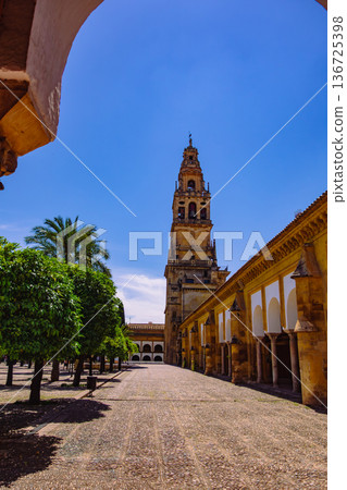 Spain, Cordoba, Mezquita courtyard Spain, Cordoba, Mezquita courtyard 136725398