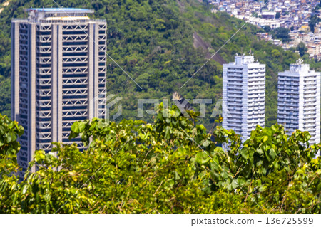 Rio de Janeiro Brazil City Downtown Cityscape and Skyline Panorama. 136725599