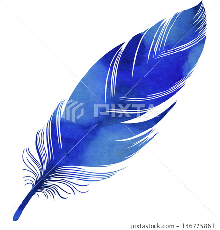 Beautiful watercolor bird feather icon image illustration Beautiful watercolor bird feather icon image illustration 136725861