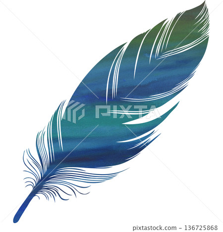 Beautiful watercolor bird feather icon image illustration Beautiful watercolor bird feather icon image illustration 136725868