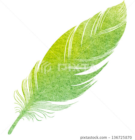 Beautiful watercolor bird feather icon image illustration Beautiful watercolor bird feather icon image illustration 136725870