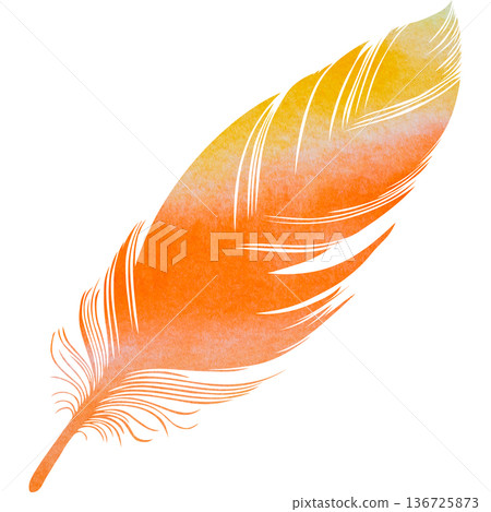 Beautiful watercolor bird feather icon image illustration Beautiful watercolor bird feather icon image illustration 136725873
