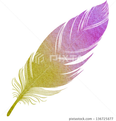 Beautiful watercolor bird feather icon image illustration Beautiful watercolor bird feather icon image illustration 136725877