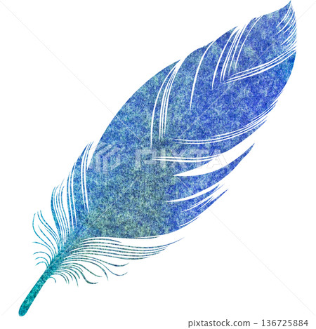 美麗的水彩鳥羽毛圖示圖像的插圖 136725884