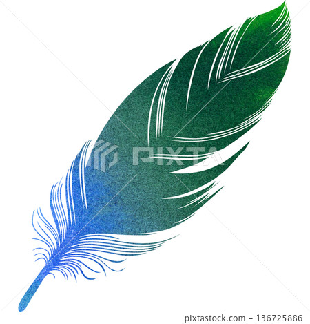Beautiful watercolor bird feather icon image illustration Beautiful watercolor bird feather icon image illustration 136725886