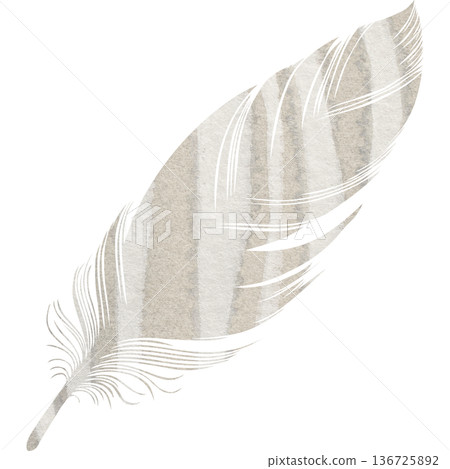 Beautiful watercolor bird feather icon image illustration Beautiful watercolor bird feather icon image illustration 136725892