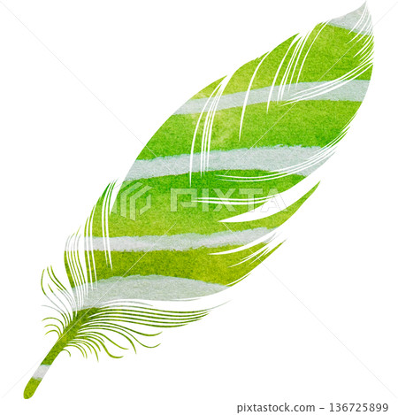 Beautiful watercolor bird feather icon image illustration Beautiful watercolor bird feather icon image illustration 136725899