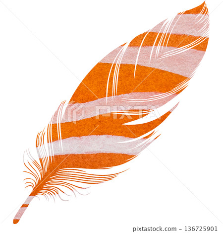 Beautiful watercolor bird feather icon image illustration Beautiful watercolor bird feather icon image illustration 136725901