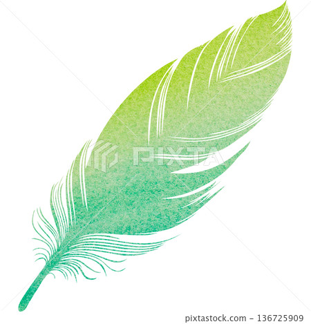 Beautiful watercolor bird feather icon image illustration Beautiful watercolor bird feather icon image illustration 136725909