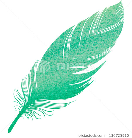 美麗的水彩鳥羽毛圖示圖像的插圖 136725910