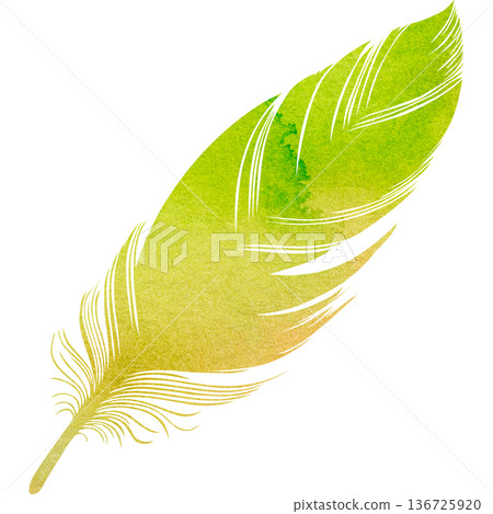 美麗的水彩鳥羽毛圖示圖像的插圖 美麗的水彩鳥羽毛圖示圖像的插圖 136725920