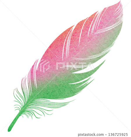 Beautiful watercolor bird feather icon image illustration Beautiful watercolor bird feather icon image illustration 136725925