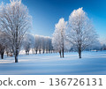 Trees lined up on a snowy plain 136726131