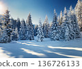 Snowed forest 136726133