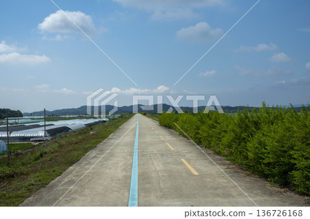 Bicycle path along the Geumgang River 136726168