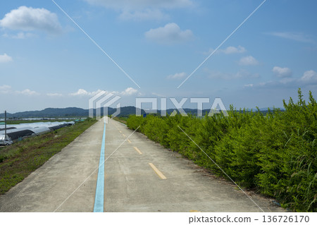 Bicycle path along the Geumgang River 136726170