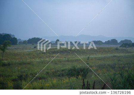 Bicycle path along the Geumgang River 136726196