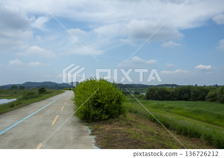Bicycle path along the Geumgang River 136726212