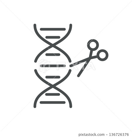 Gene Editing Icon, Outline DNA with Scissors, Genetic Engineering CRISPR Genome Modification Biotechnology Symbol. Isolated Genetic Engineering Line Icon on White Background  136726376