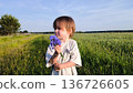 A beautiful happy little baby stands on a green meadow. Cute baby in a field of flowers. A handsome child holds a bouquet of wildflowers and gestures that he is giving them to his mother. 136726605