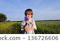 A beautiful happy little baby stands on a green meadow. Cute baby in a field of flowers. A handsome child holds a bouquet of wildflowers and gestures that he is giving them to his mother. 136726606