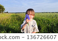 A beautiful happy little baby stands on a green meadow. Cute baby in a field of flowers. A handsome child holds a bouquet of wildflowers and gestures that he is giving them to his mother. 136726607