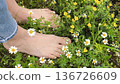 Girl's feet on Green Summer Grass with Field Flowers. Close-up Shot. Summer Time. Bare feet with white pedicures of a young woman. Enjoying the summer time. 136726609