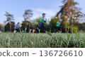 children play on the grass in the park. 136726610
