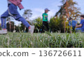 children play on the grass in the park. 136726611