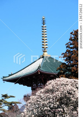 成田山新勝寺早春景色 成田山新勝寺早春景色 136726612
