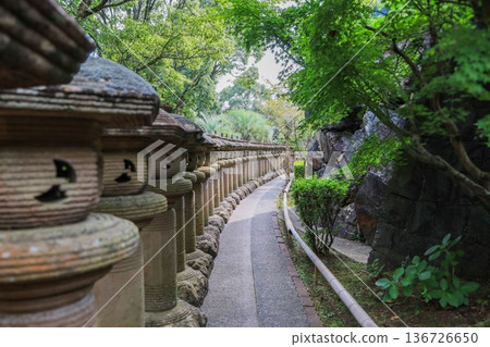 福岡縣朝倉市香山聖龍觀音寺院內排列著一排石燈籠。 136726650