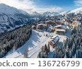 Aerial view of ski resort 136726799