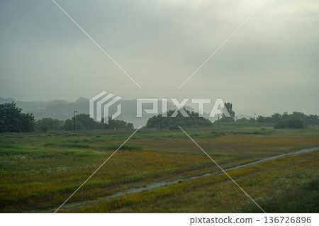 Baekma Riverside Bicycle Path  136726896