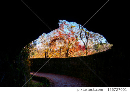 Vibrant autumn foliage seen through a rock tunnel 136727001