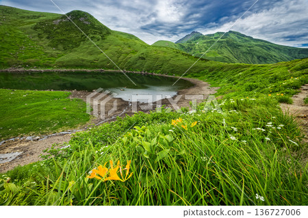 從鳥海湖岸邊眺望鳥海山的頂峰，湖中盛開著高山植物。 136727006