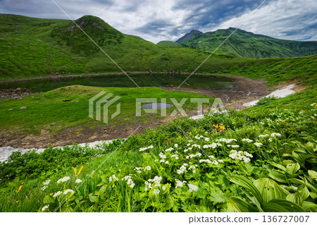 從鳥海湖岸邊眺望鳥海山的頂峰,湖中盛開著高山植物。 從鳥海湖岸邊眺望鳥海山的頂峰,湖中盛開著高山植物。 136727007