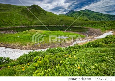 從鳥海湖岸邊眺望鳥海山的頂峰,湖中盛開著高山植物。 從鳥海湖岸邊眺望鳥海山的頂峰,湖中盛開著高山植物。 136727008