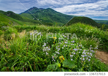 在木坂田口賽道岔路口附近以及鳥海山頂峰附近，有一片花田。 136727013