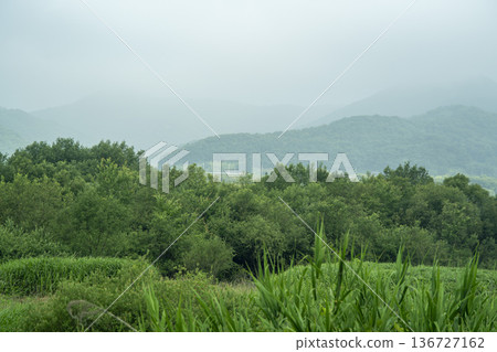 Baekma Riverside Bicycle Path  136727162
