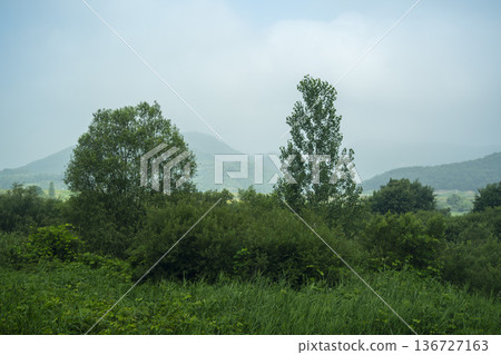 Baekma Riverside Bicycle Path  136727163