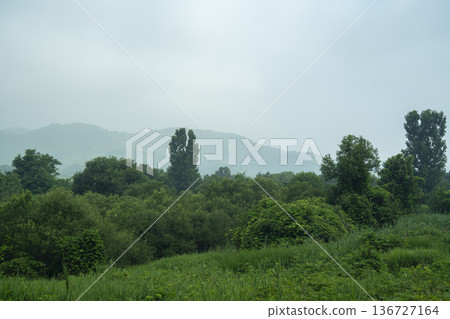 Baekma Riverside Bicycle Path  136727164