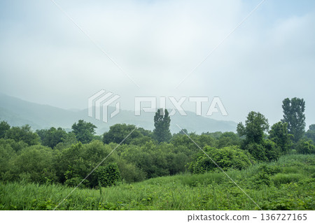 Baekma Riverside Bicycle Path  136727165