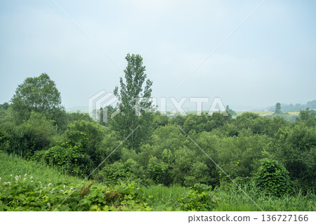 Baekma Riverside Bicycle Path  136727166