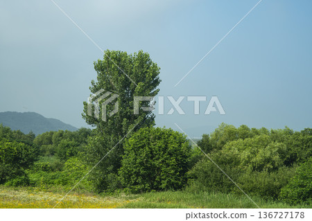 Baekma Riverside Bicycle Path Baekma Riverside Bicycle Path 136727178