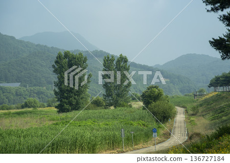 Baekma Riverside Bicycle Path Baekma Riverside Bicycle Path 136727184