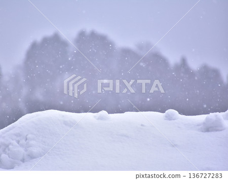 snow snow 136727283