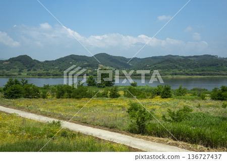 Baekma Riverside Bicycle Path  136727437