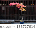 The scenery of Narai hotel in Nagano prefecture 136727614