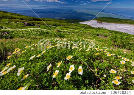 從鳥海山、莊內平原和月山附近，可以看到日本阿留申樹（Aleutiana japonica）群落的景色，以及庵道山和真嗣山的景色。 136728294