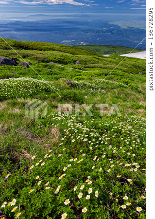 A view of the Aleutiana japonica colony near the Shinji snowfield on Mt. Chokai and the Shonai Plain and Mt. Gassan A view of the Aleutiana japonica colony near the Shinji snowfield on Mt. Chokai and the Shonai Plain and Mt. Gassan 136728295